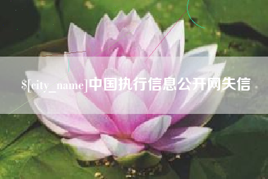 陕西中国执行信息公开网失信