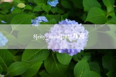 陕西2022九宫