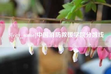 陕西中国消防救援学院分数线