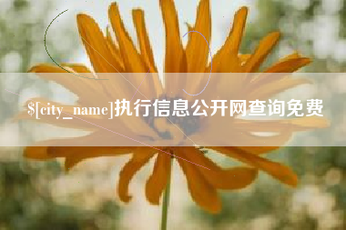 陕西执行信息公开网查询免费